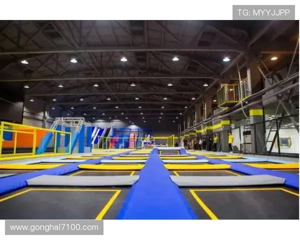 博猫娱乐：探索线上娱乐平台的无限乐趣与精彩活动